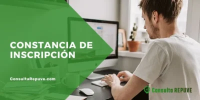 Número de Constancia de Inscripción REPUVE